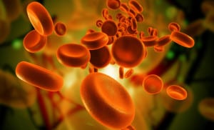 Чисти кръвоносни съдове – залог за дълголетие