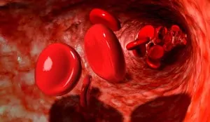 Как Ентан укрепва кръвоносните съдове?