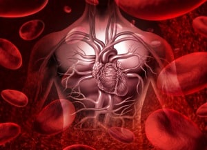 Реология на кръвта – какво представлява и какво я благоприятства