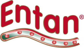 Ентан - лого