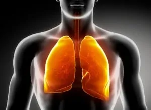 Какъв е ефектът на никотина върху сърдечно-съдовата система при пушачите?