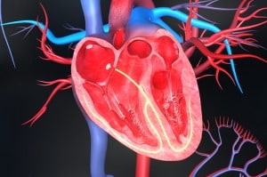 Разберете дали имате проблеми с кръвообращението