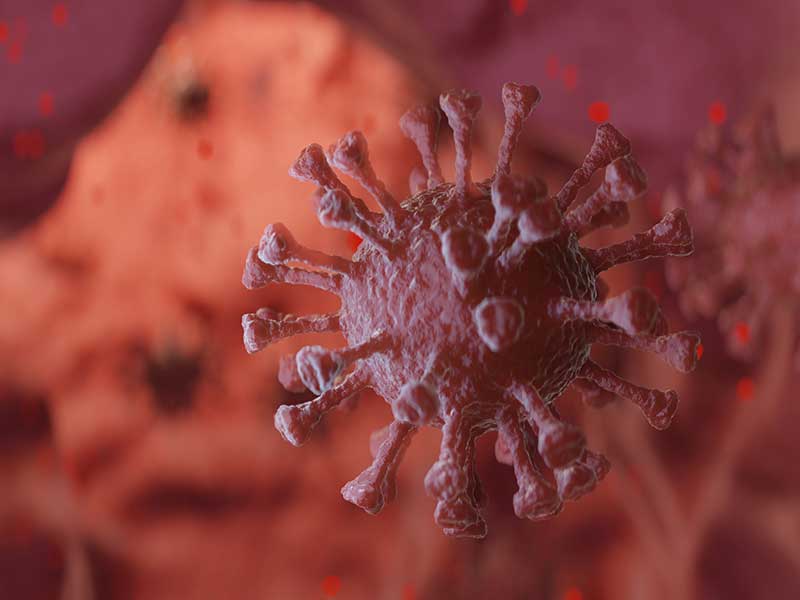 коронавирус кръвоносни съдове