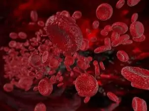 Тромбоза – 5 рискови фактора за появата й