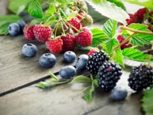 Храни срещу високо кръвно налягане – опитайте тези 4!