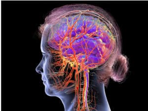 Мозъчно кръвообращение – нов метод за измерване