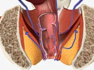 Вътрешни хемороиди – как да ги разпознаем навреме?